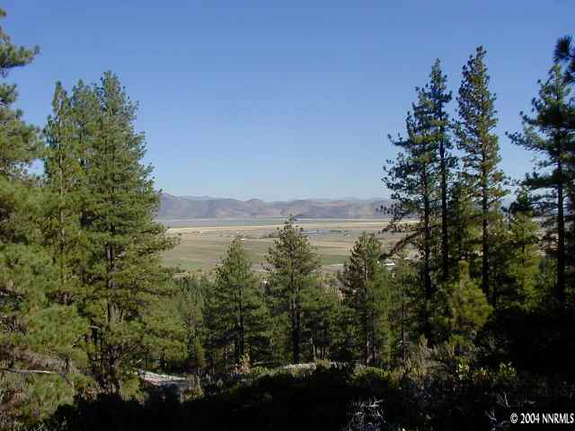 0 Will Sauer Road Reno, NV 89511 - Photo 5 of 6 Photo 5