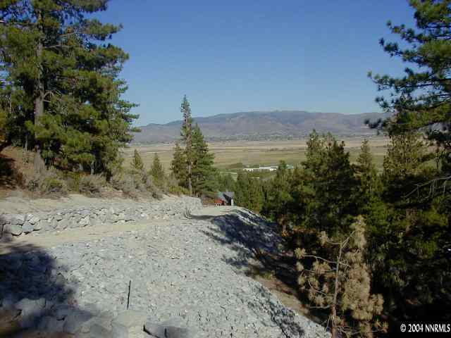 0 Will Sauer Road Reno, NV 89511 - Photo 6 of 6 Photo 6