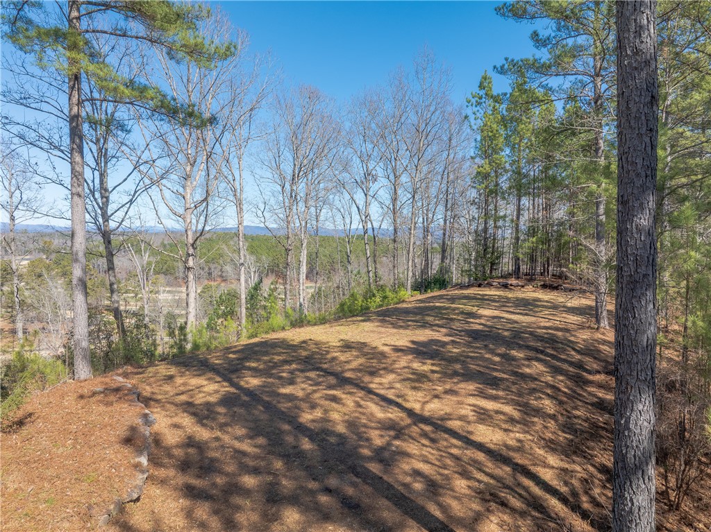726 Eagle Ridge Way Salem, SC 29676 - Photo 3 of 19 Gallery Image 3