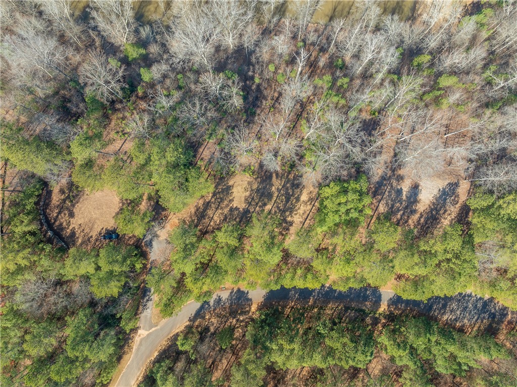 726 Eagle Ridge Way Salem, SC 29676 - Photo 6 of 19 Gallery Image 6