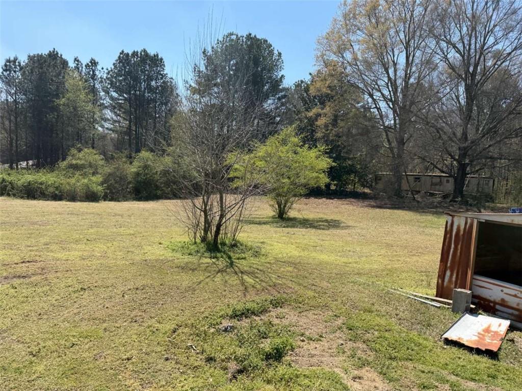 853 Cornelius Road Cedartown, GA 30125 - Photo 3 of 10