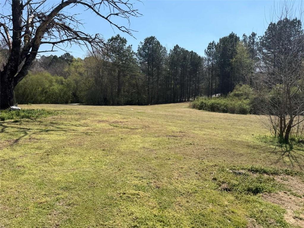 853 Cornelius Road Cedartown, GA 30125 - Photo 4 of 10