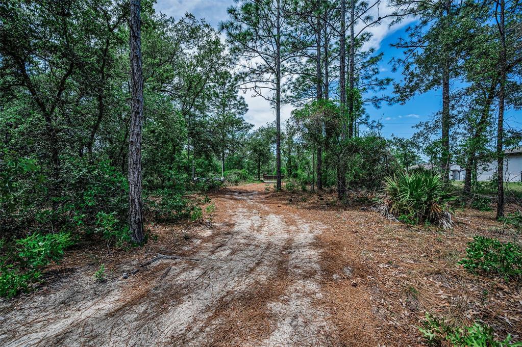 12123 Fulmar Road Weeki Wachee, FL 34614 - Photo 68 of 81