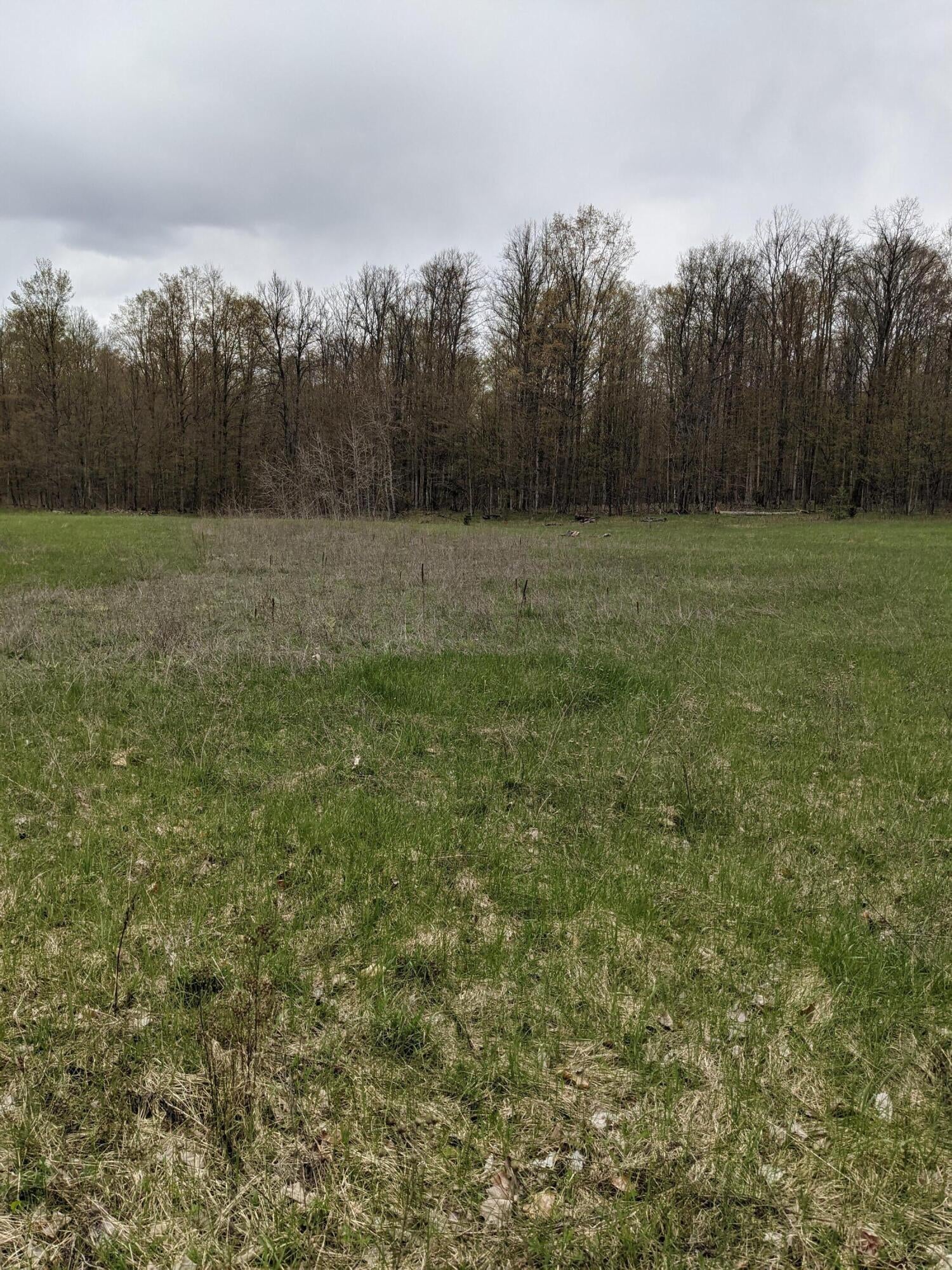 Hibner Road Atlanta, MI 49709 - Photo 21 of 25 Gallery Image 21