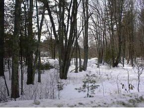 L90 Cricket Corner Road Amherst, NH 03031 - Photo 1 of 3