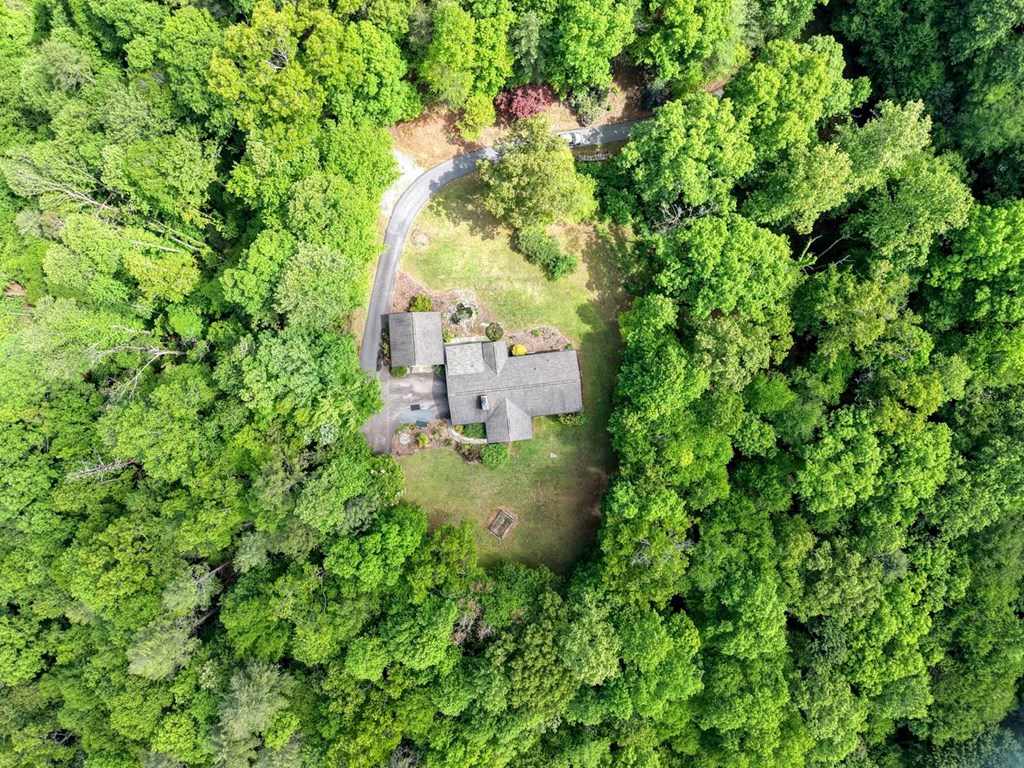 874 Deer Hill Road Murphy, NC 28906 - Photo 49 of 54