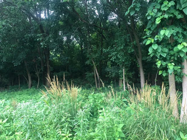 $35,900 | 1703 South Fairbanks Street, Griffith, IN 46319