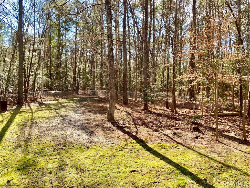 12611 Spring Run Road Chesterfield, VA 23832 - Photo 13 of 45