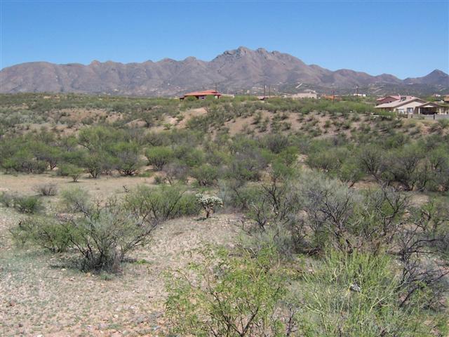 1715 Estero Corte Corte, Unit CORTE Rio Rico, AZ 85648 - Photo 16 of 16