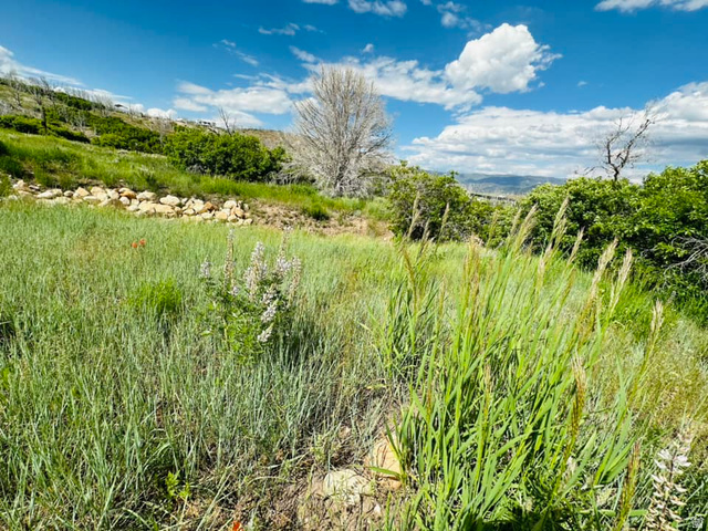 137 East Canyon Hollow Road, Unit 137 Fairview, UT 84629 - Photo 23 of 25 View of nature