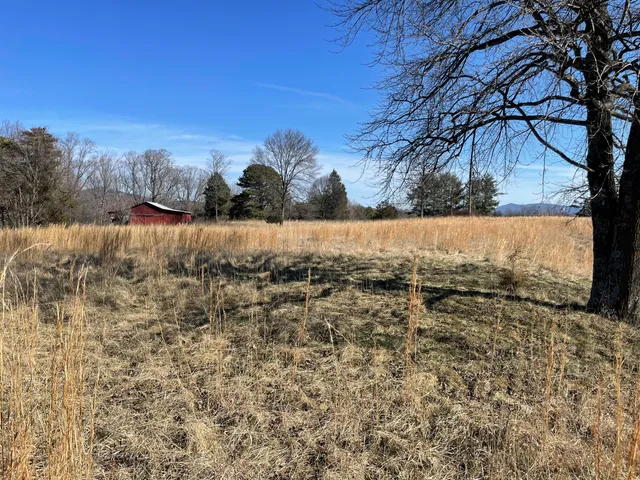 a view of back yard of the house
