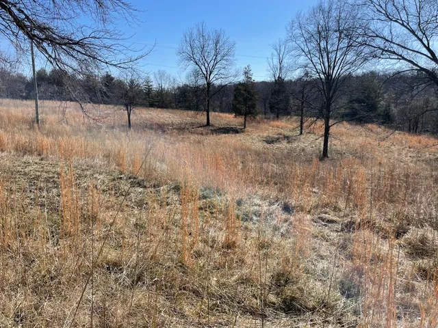 a view of a yard covered with snow