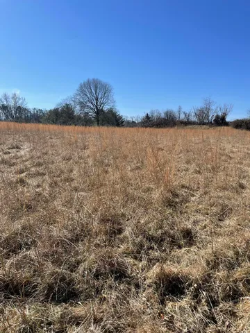 a view of a lake from a yard