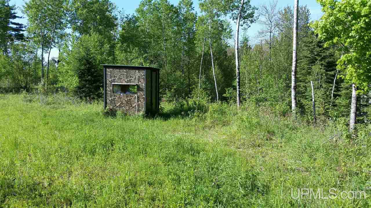Tbd Off Kime-backlund Road Foster City, MI 49807 - Photo 4 of 12