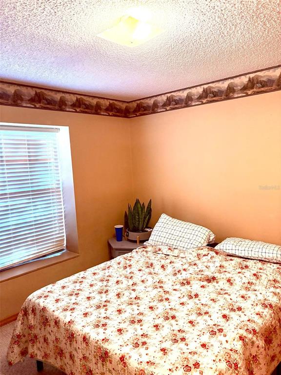 3909 Lake Forest Street Mount Dora, FL 32757 - Photo 11 of 33