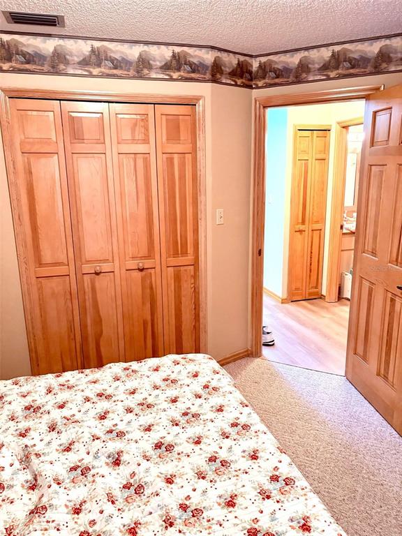 3909 Lake Forest Street Mount Dora, FL 32757 - Photo 14 of 33