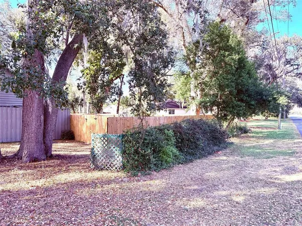 a view of a street with a tree