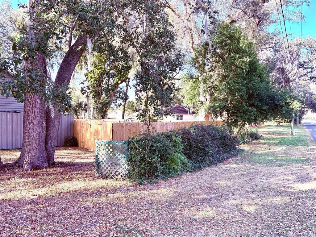 3909 Lake Forest Street Mount Dora, FL 32757 - Photo 27 of 33