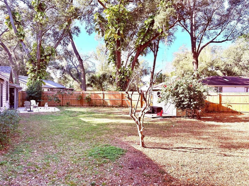 3909 Lake Forest Street Mount Dora, FL 32757 - Photo 28 of 33