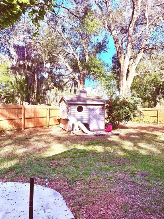 3909 Lake Forest Street Mount Dora, FL 32757 - Photo 31 of 33