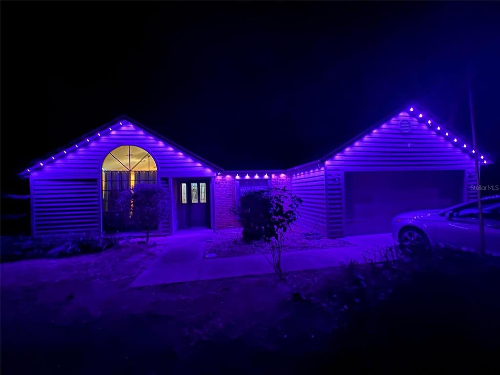 3909 Lake Forest Street Mount Dora, FL 32757 - Photo 33 of 33