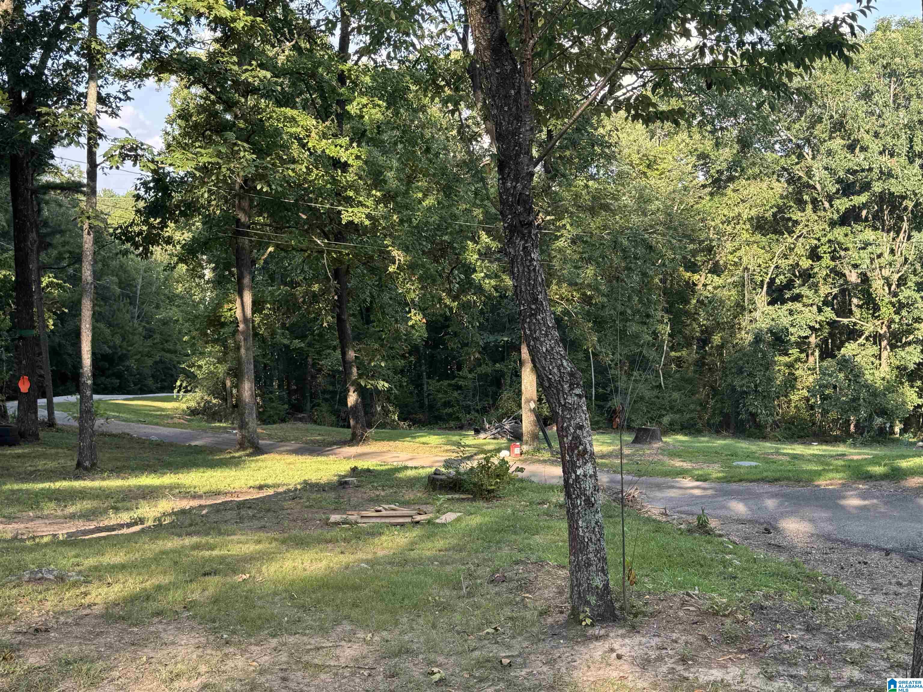 175 Shady Hollow Road Eastaboga, AL 36260 - Photo 35 of 50