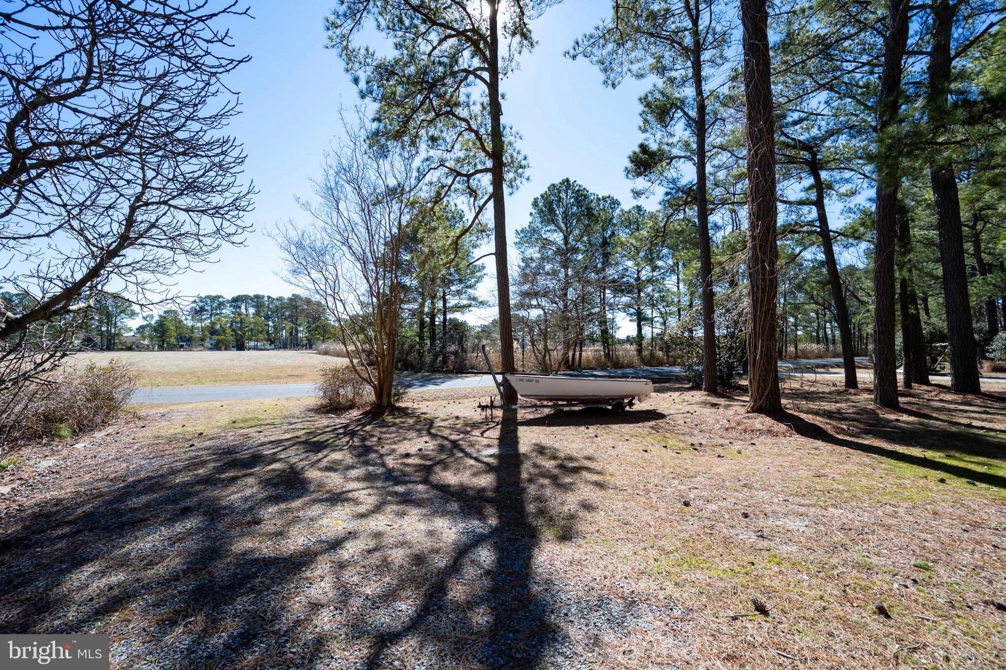 5053 Manokin Road Crisfield, MD 21817 - Photo 37 of 44 backyard