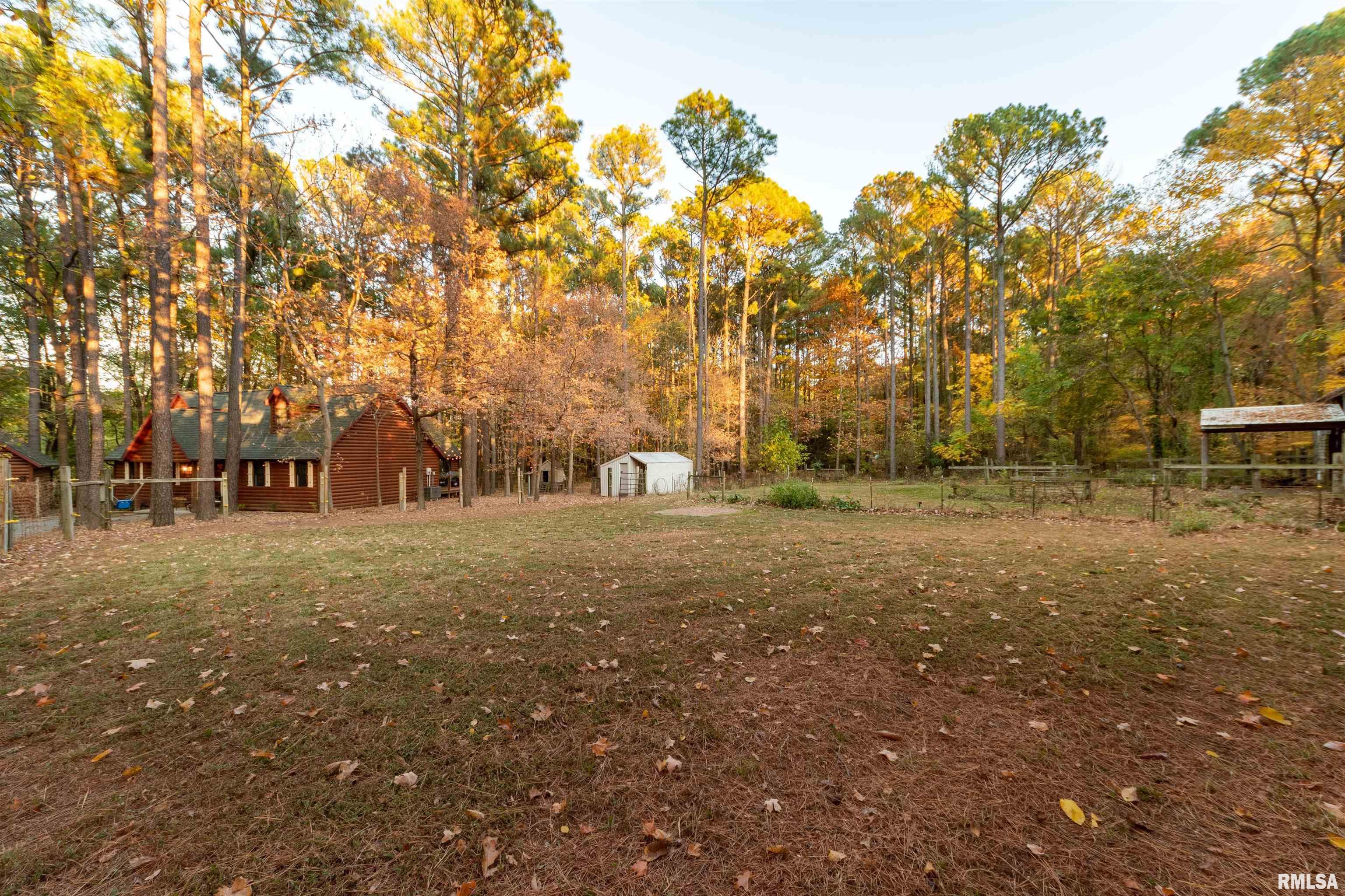 14826 Cambria Road Carterville, IL 62918 - Photo 50 of 58 Gallery Image 50