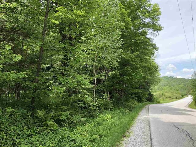 0 Pikes Falls Road Jamaica, VT 05343 - Photo 1 of 13