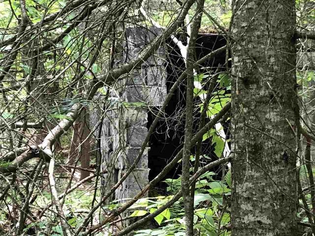 0 Pikes Falls Road Jamaica, VT 05343 - Photo 3 of 13