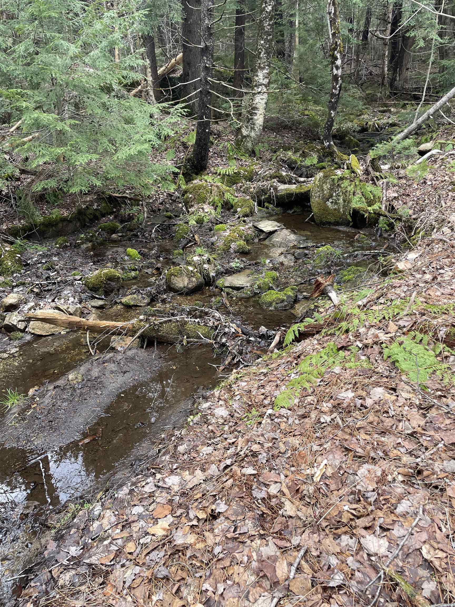 0 Pikes Falls Road Jamaica, VT 05343 - Photo 6 of 13