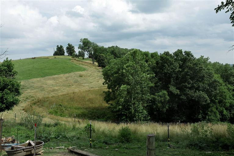 2224 Taylor Ridge Road Nicholasville, KY 40356 - Photo 27 of 37 Photo 27
