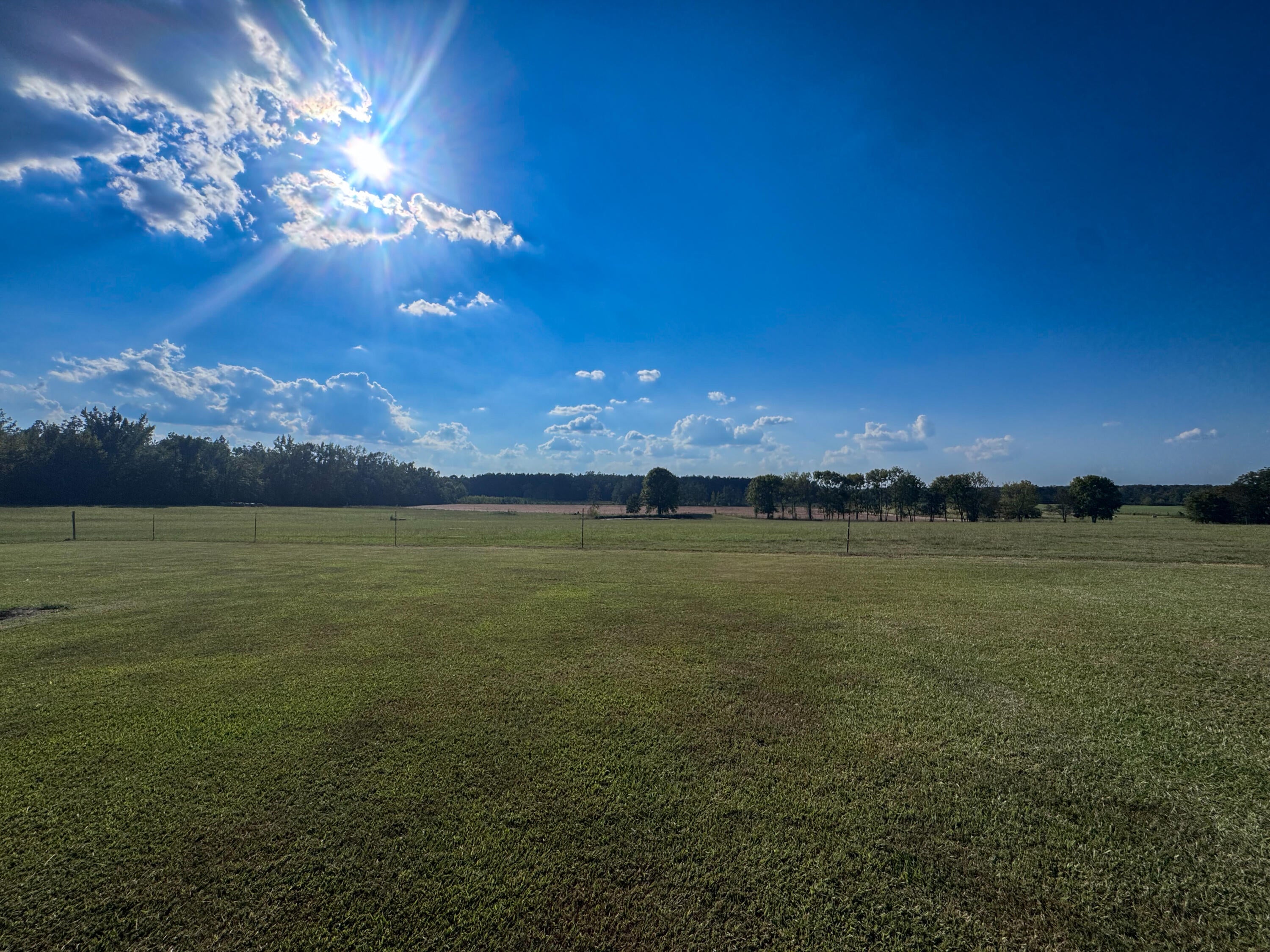 1251 Coleman Road Thaxton, MS 38871 - Photo 30 of 35 Gallery Image 30