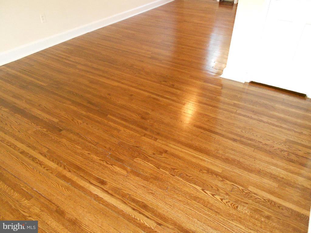 2811 16th Road South, Unit 2811A Arlington, VA 22204 - Photo 8 of 30 Shiny newly refinished hardwood floors.