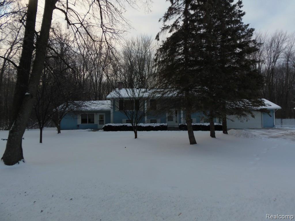 2763.jpg