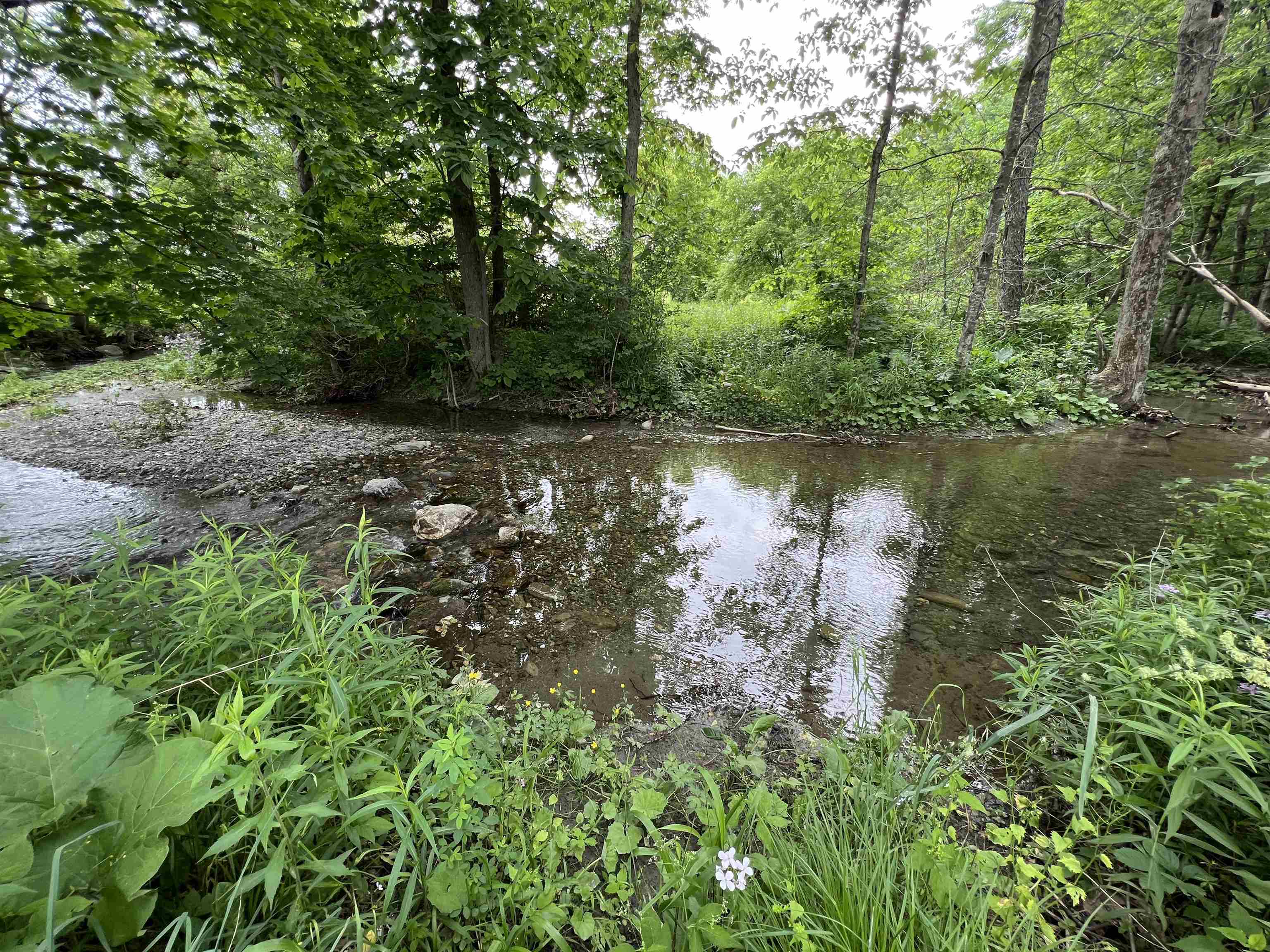 249 Ward Road Poultney, VT 05764 - Photo 44 of 52