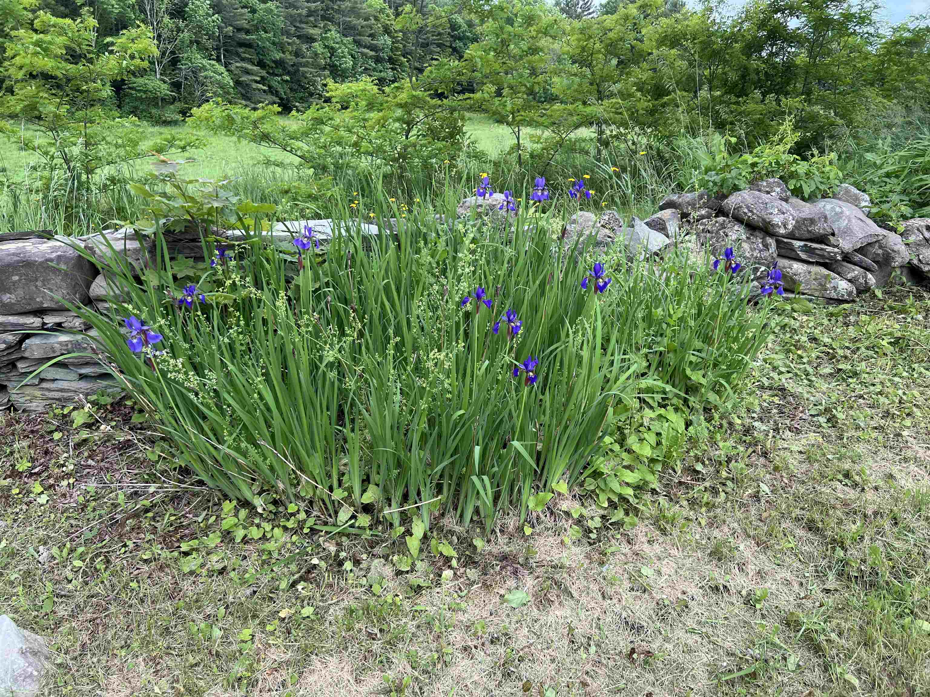 249 Ward Road Poultney, VT 05764 - Photo 51 of 52