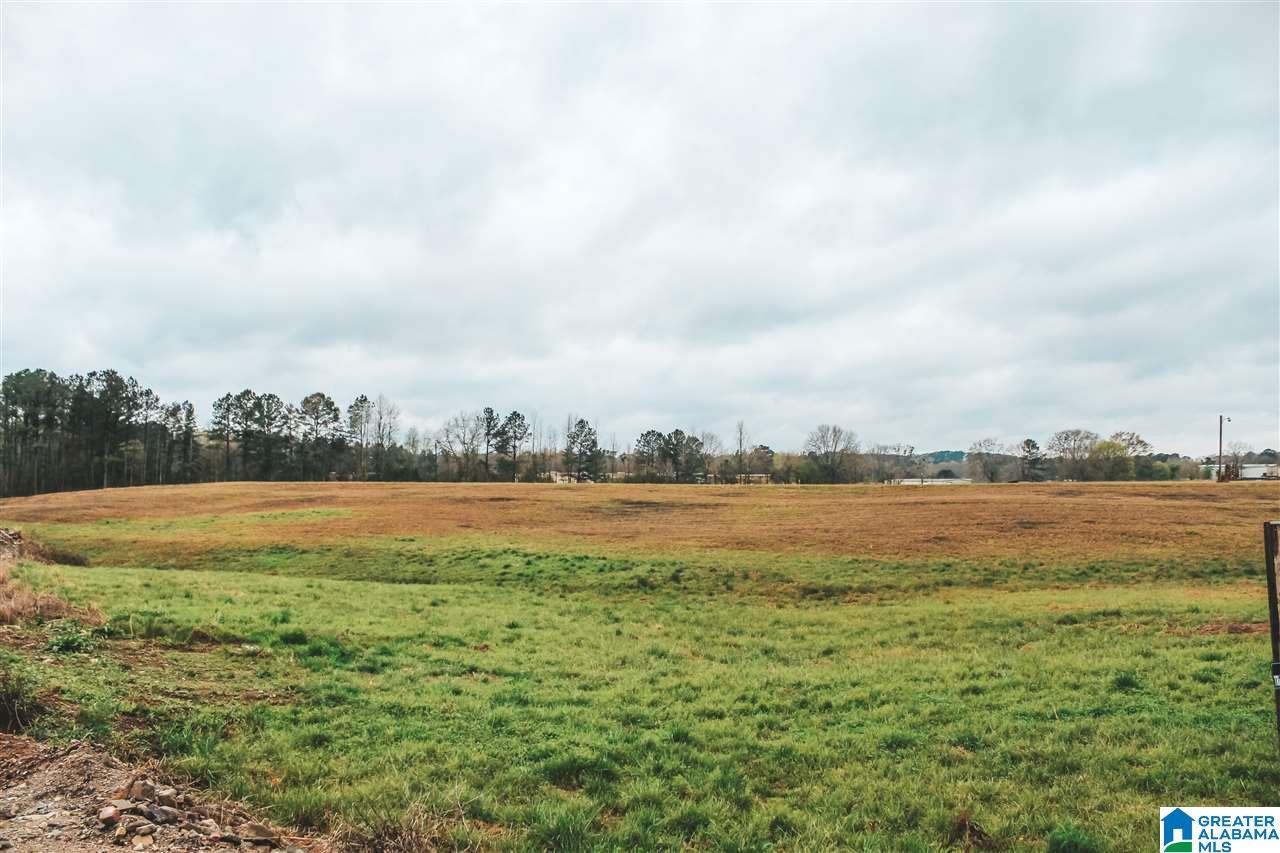 0 Main Street Bessemer, AL 35020 - Photo 1 of 4