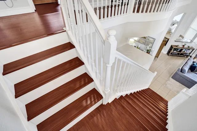 a view of a backyard with large tree