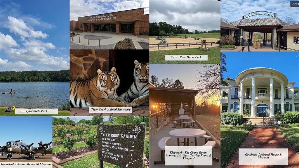 7352 Kingsport Lane Tyler, TX 75703 - Photo 35 of 38 a front view of a house with garden