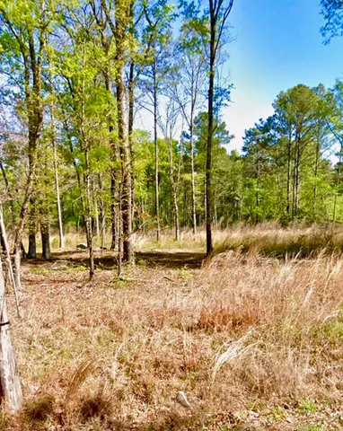 $100,000 | 8 Lewis Boulevard Northeast, Rome, GA 30161