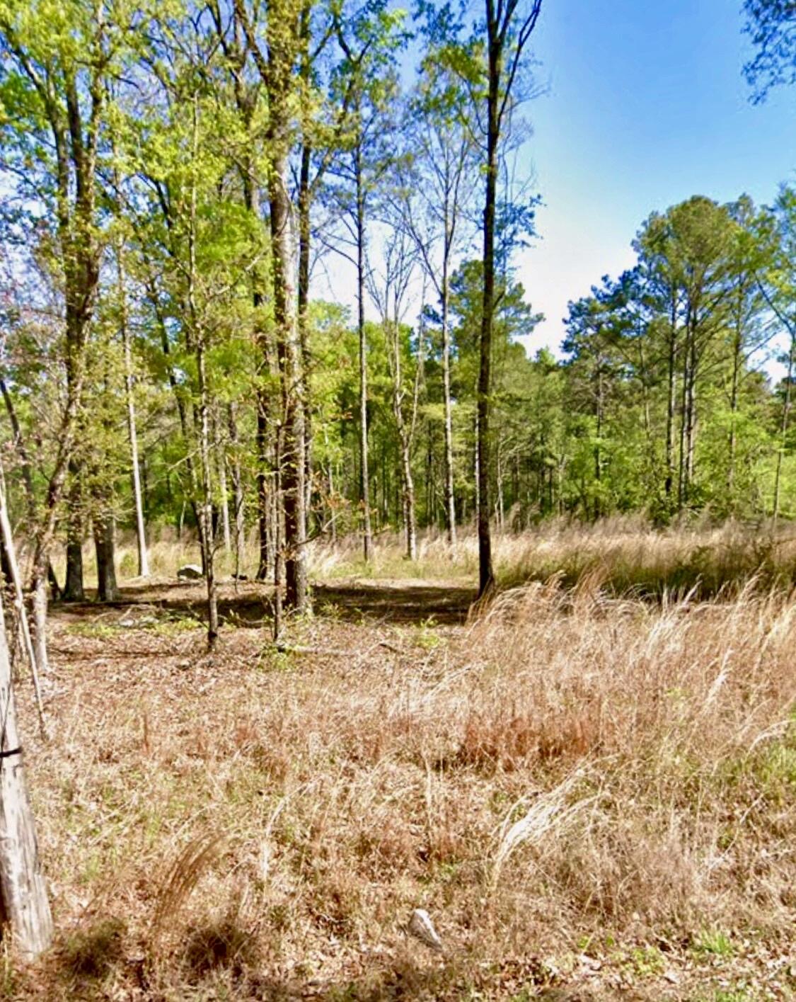 8 Lewis Boulevard Northeast Rome, GA 30161 - Photo 15 of 17 IMG_5455