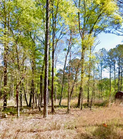 $100,000 | 8 Lewis Boulevard Northeast, Rome, GA 30161