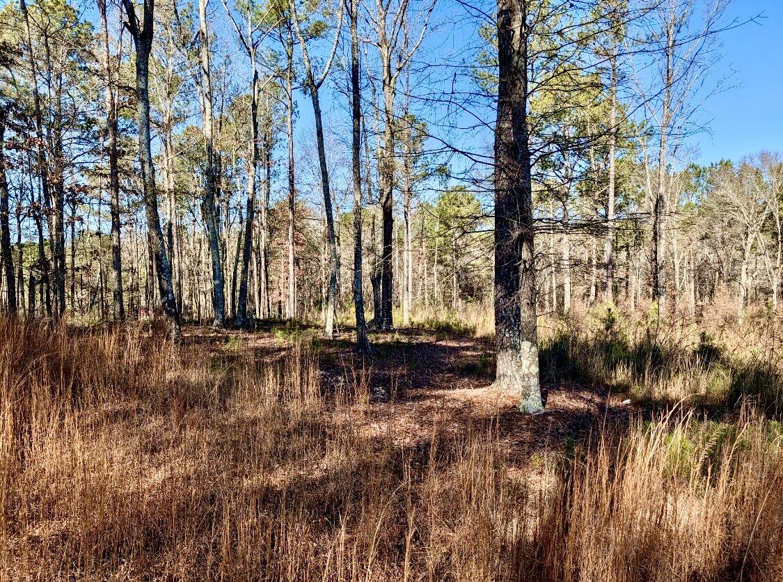8 Lewis Boulevard Northeast Rome, GA 30161 - Photo 3 of 17 IMG_5459