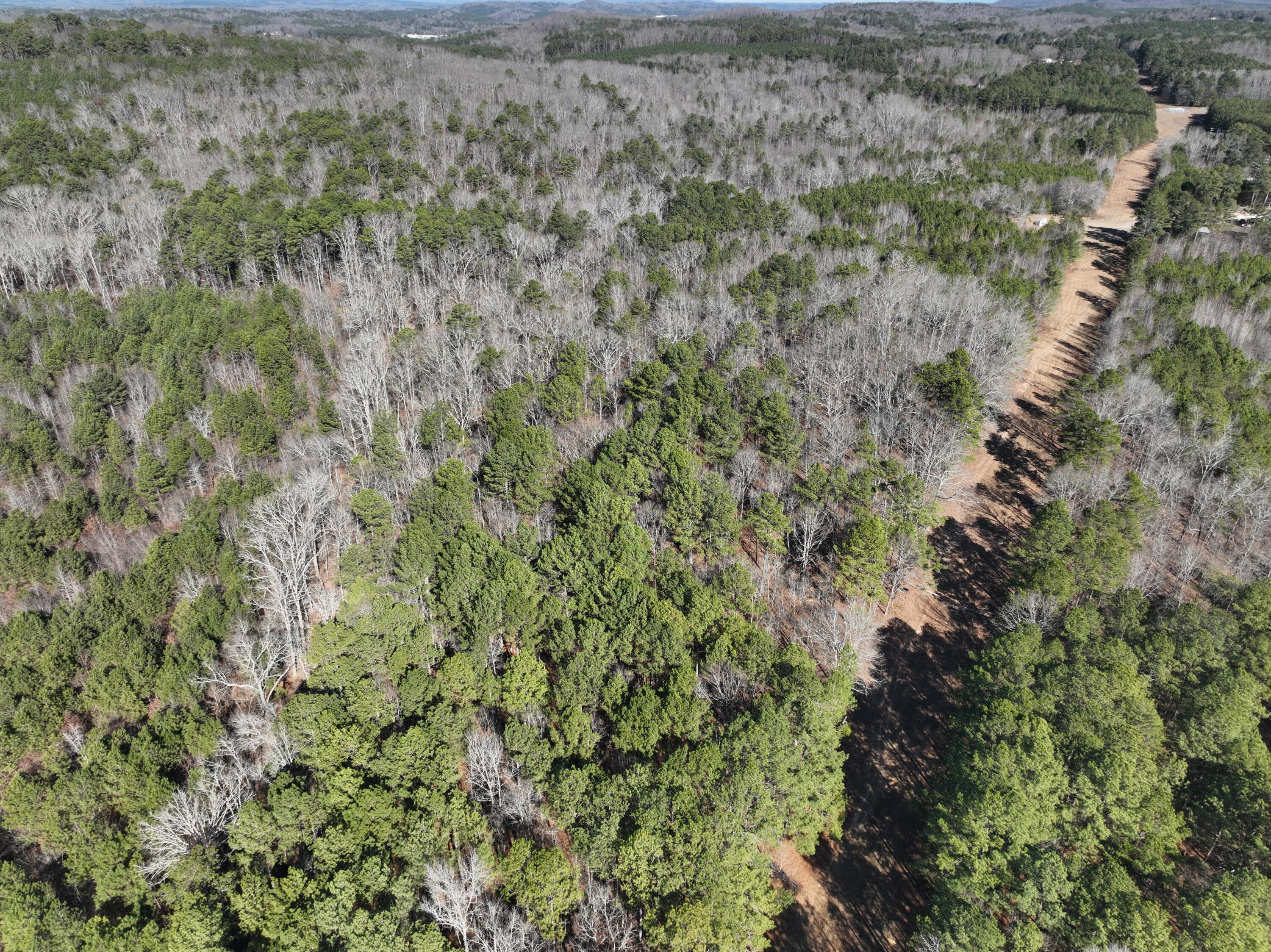 8 Lewis Boulevard Northeast Rome, GA 30161 - Photo 7 of 17 CAM_20260116122118_0417_V