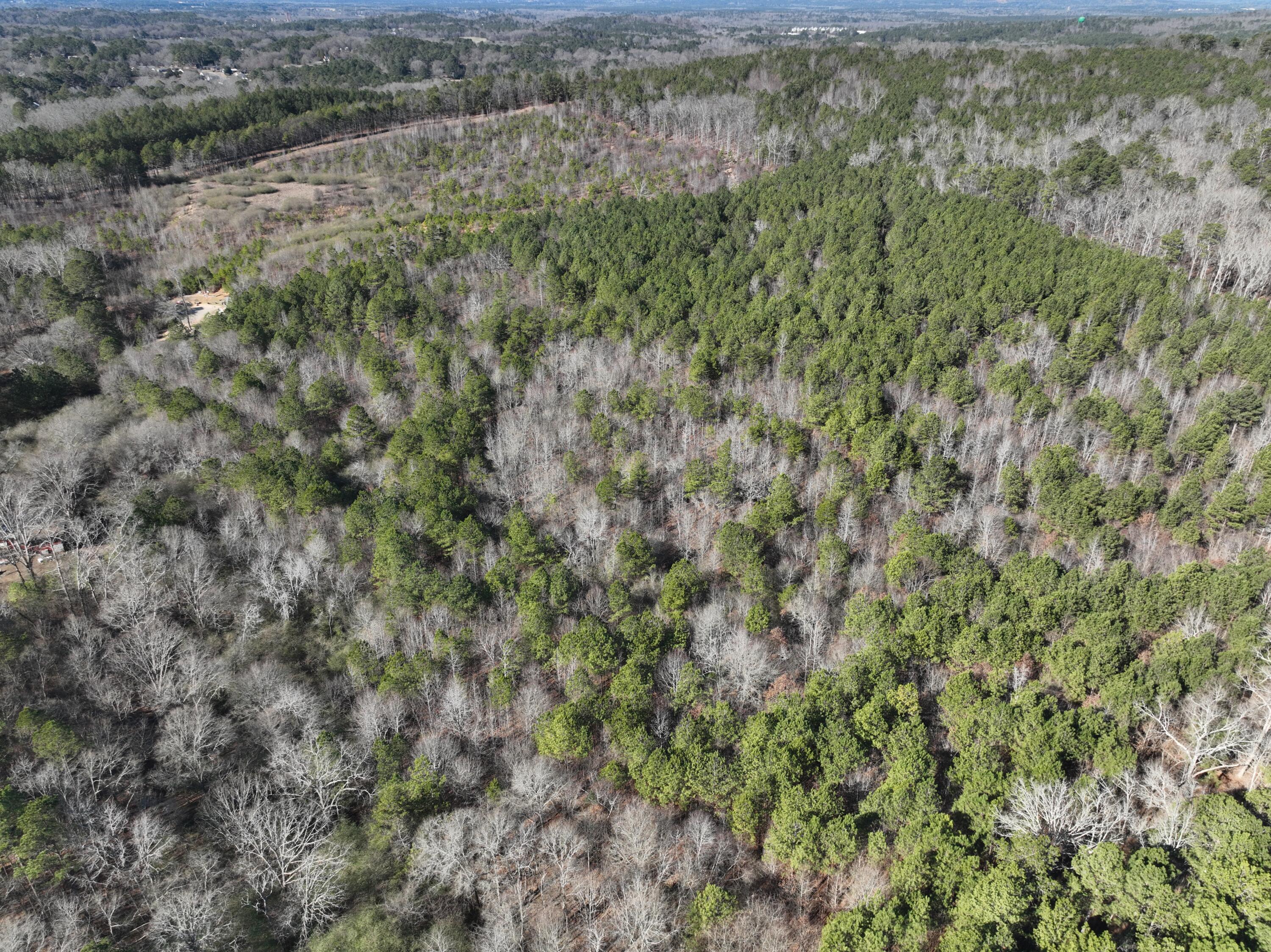 8 Lewis Boulevard Northeast Rome, GA 30161 - Photo 9 of 17 CAM_20260116122115_0414_V