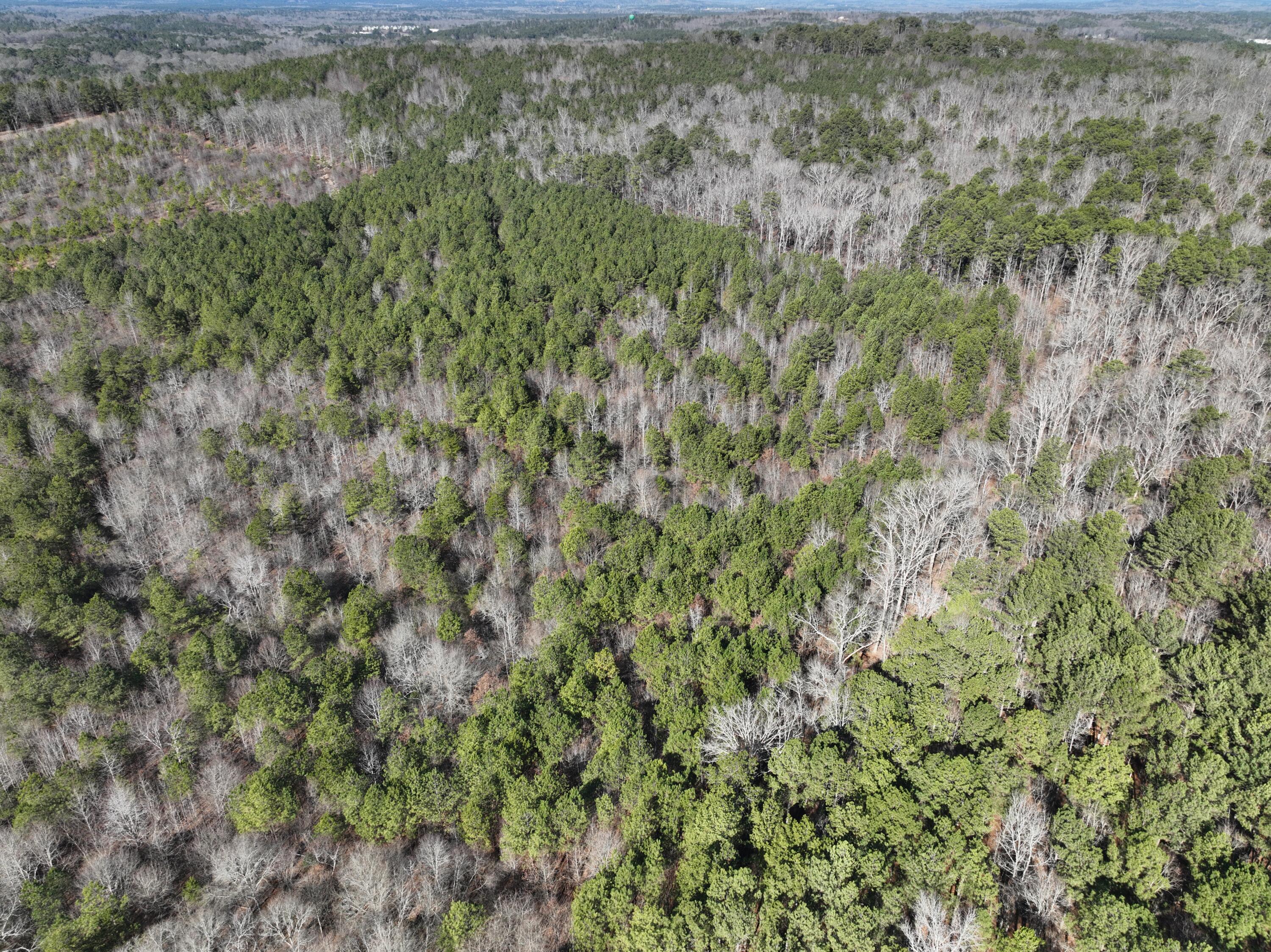 8 Lewis Boulevard Northeast Rome, GA 30161 - Photo 10 of 17 CAM_20260116122116_0415_V