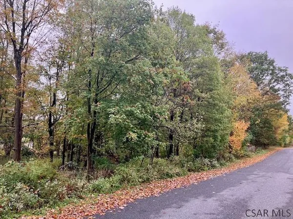 a view of a forest with trees in the background