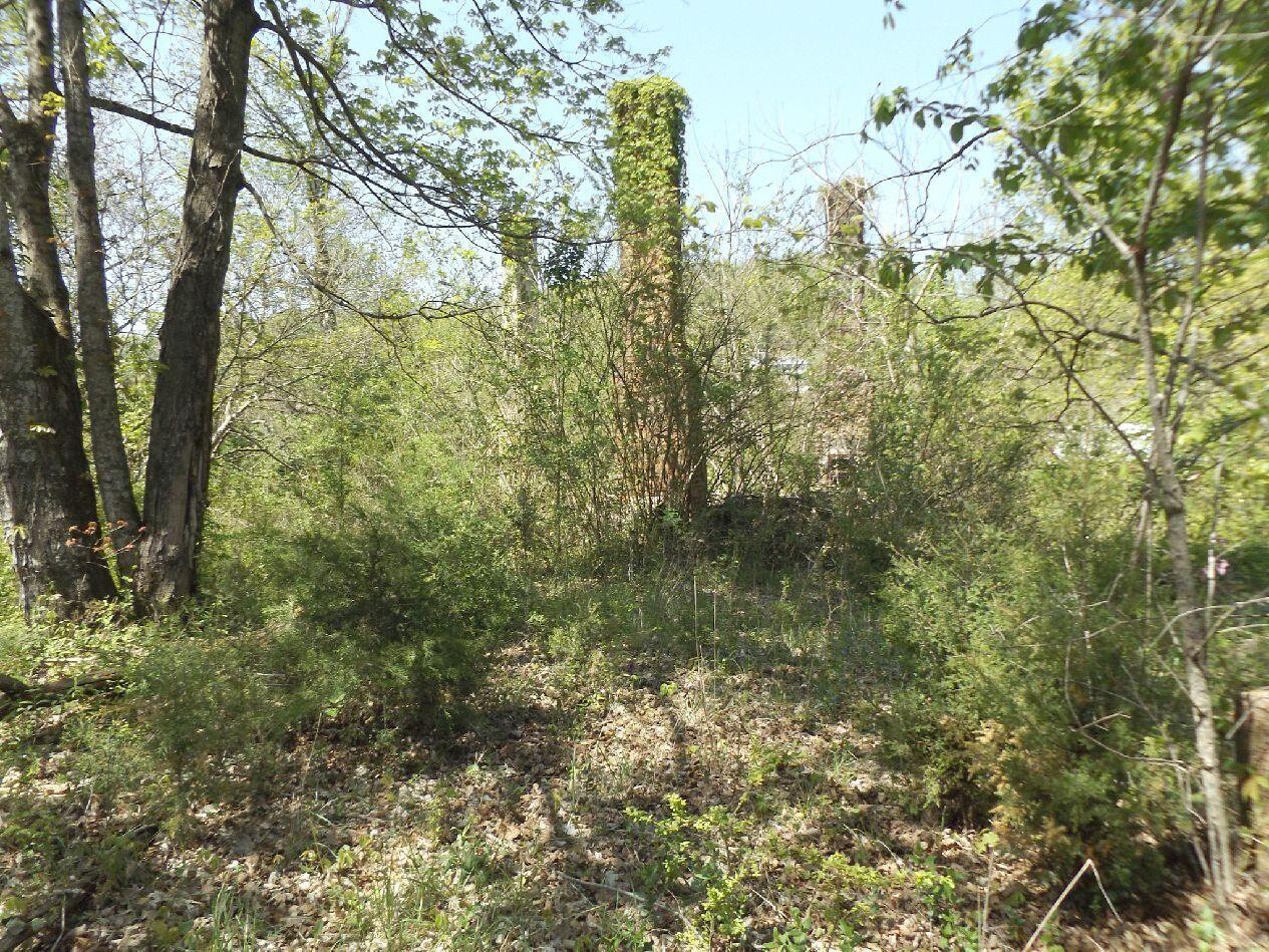 244 Shipley Road Johnson City, TN 37615 - Photo 4 of 6 DSCF74324444