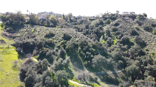 a view of a field of grass and trees